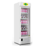Visi Freezer SRF500HC-GL