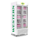 Visi Freezer SRF900-GL