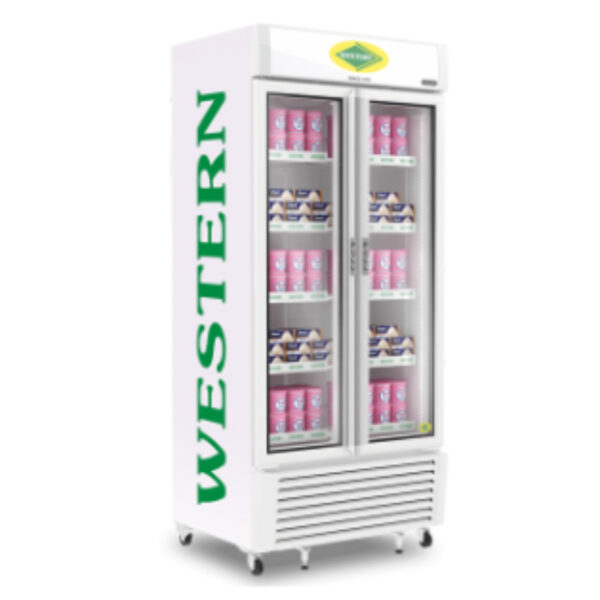 Visi Freezer SRF900-GL