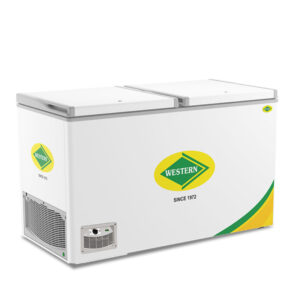 Deep Freezer EWHD580H-HC