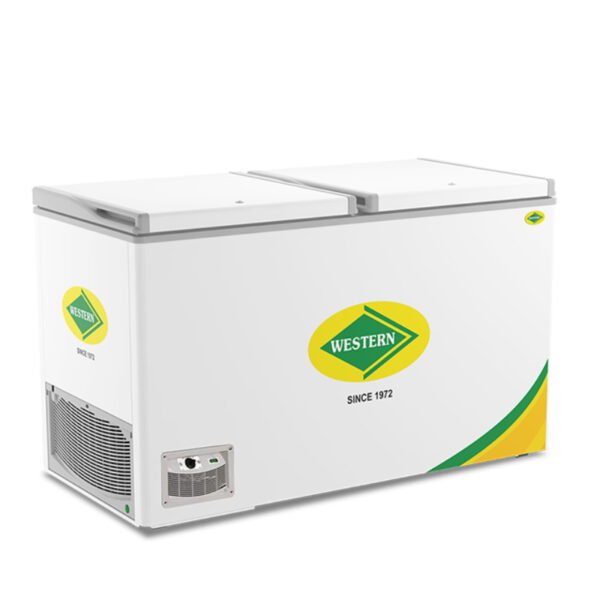 Deep Freezer EWHD580H-HC