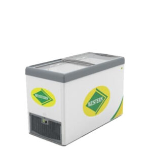 Deep Freezer NWHF350G-HC
